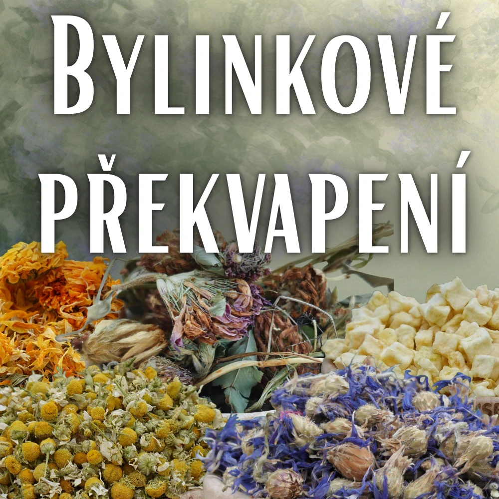 Bylinkové překvapení - DOPRODEJ BYLINEK