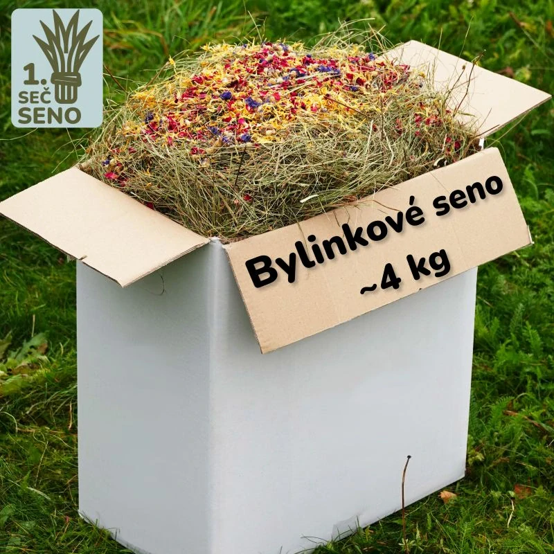 Malá krabice plná BYLINKOVÉHO sena - 4kg