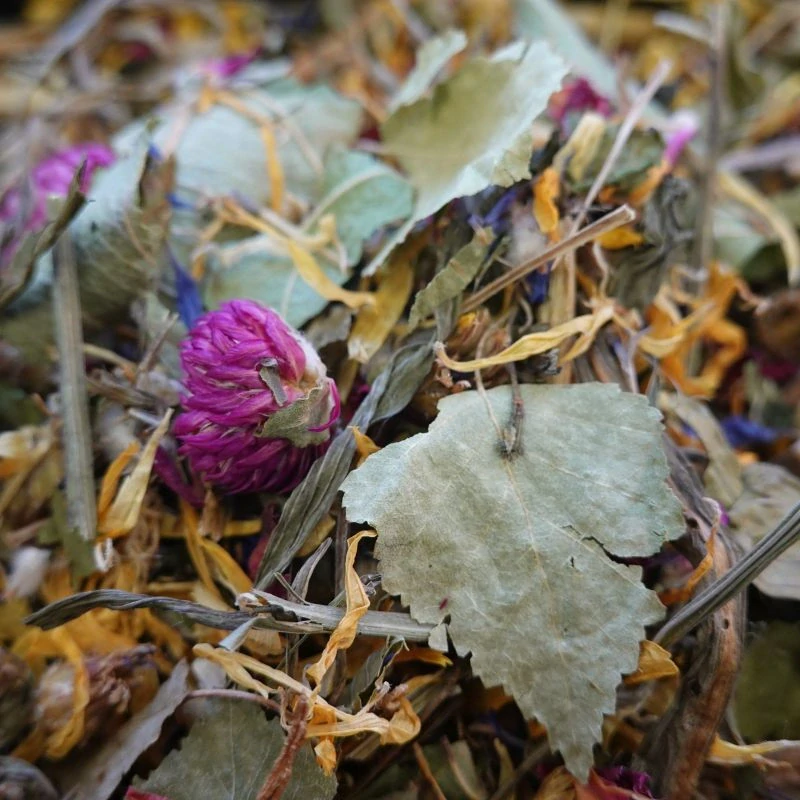 Bylinková směs - každodenní