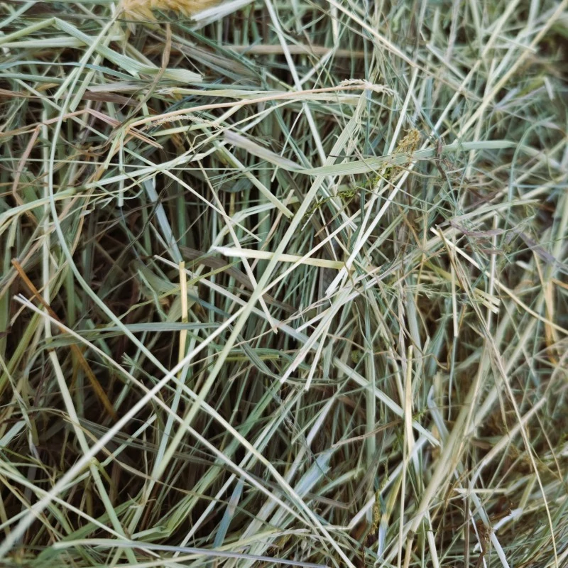 Malá krabice plná sena - cca 4 kg