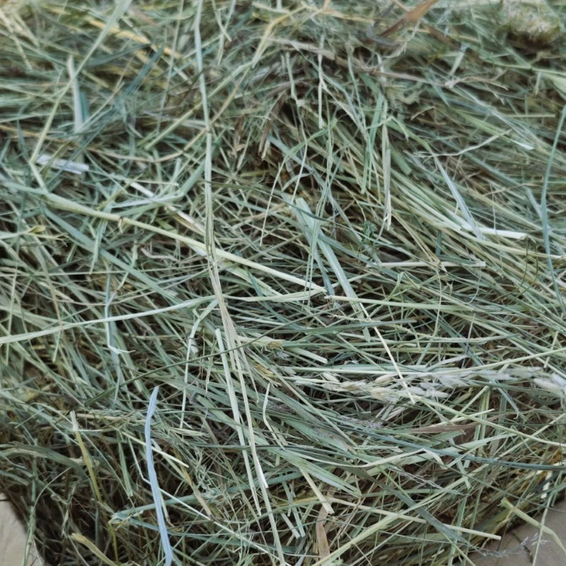 Malá krabice plná sena - cca 4 kg