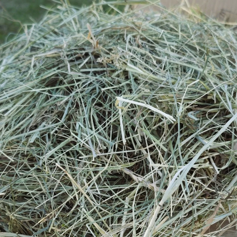 Malá krabice plná sena - cca 4 kg