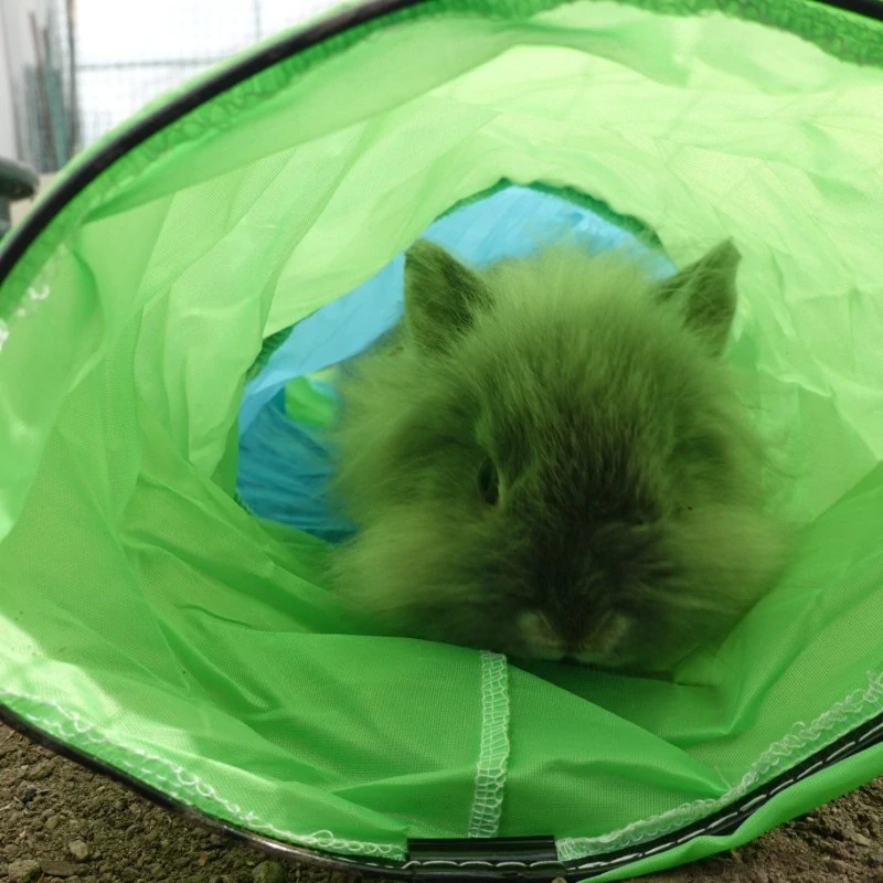 Barevný textilní tunel 