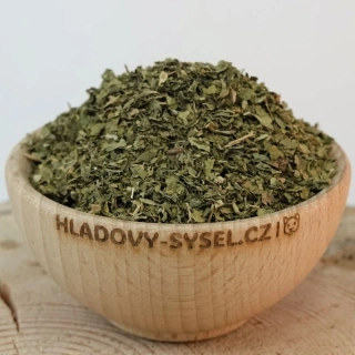 Petržel