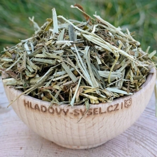 Zelený oves