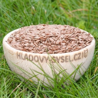 Lněné semínko