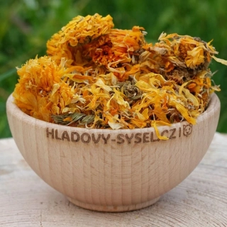 Měsíček