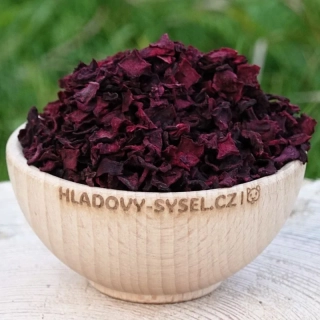 Řepa