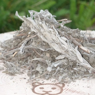 Šalvěj