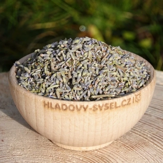 Levandule